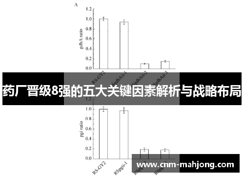 药厂晋级8强的五大关键因素解析与战略布局 药厂晋级8强的五大关键因素解析与战略布局