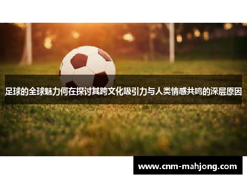 足球的全球魅力何在探讨其跨文化吸引力与人类情感共鸣的深层原因