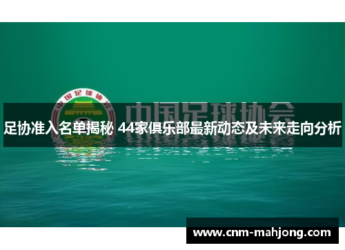足协准入名单揭秘 44家俱乐部最新动态及未来走向分析